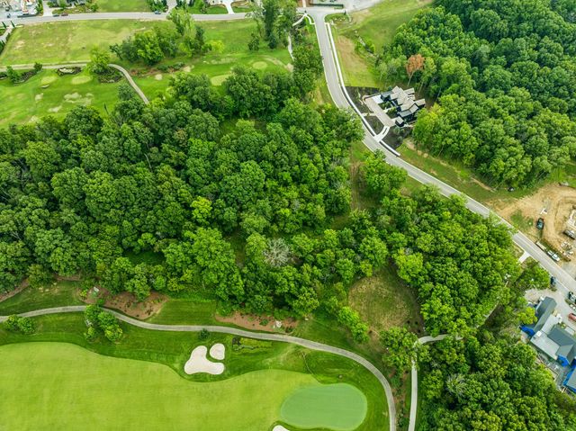 9208 Troubadour Dr, College Grove, TN 37046