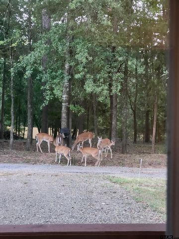 119 Private Road 52614, Pittsburg, TX 75686