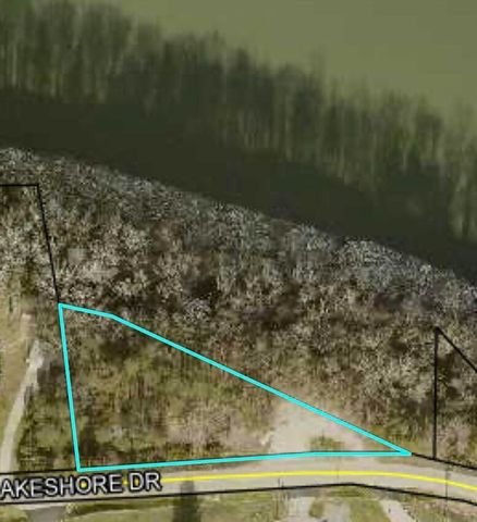 434 E Lakeshore Drive, Burnside, KY 42519