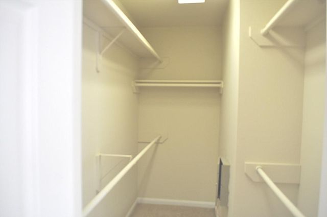 4911 Amorgas Isle Drive, Spring, TX 77388