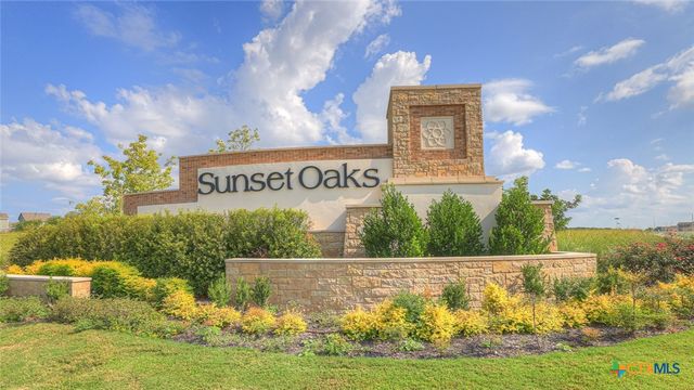 490 LOW PASTURE Trail, Maxwell, TX 78656