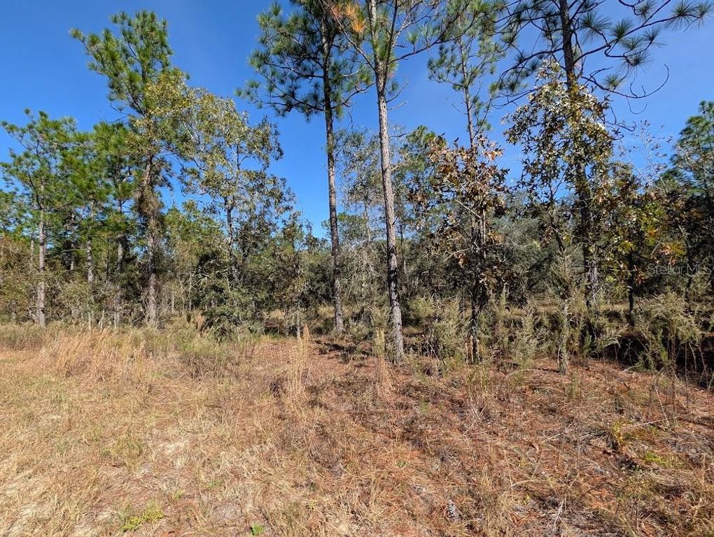 SE 135TH COURT, Dunnellon, FL 34431