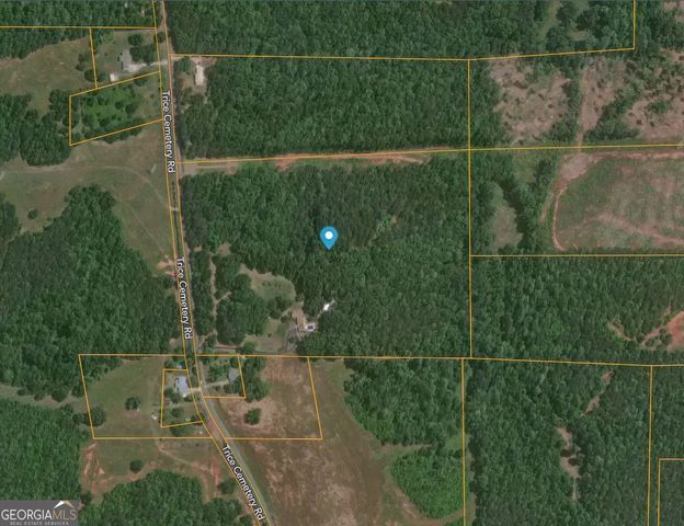 1793 Trice Cemetery Road, Thomaston, GA 30286