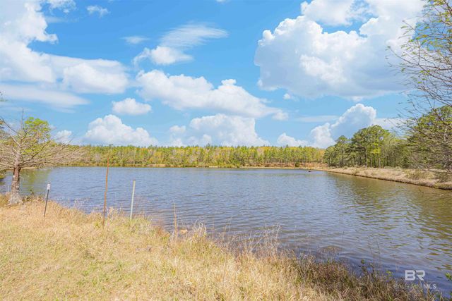 48248 Chastang Lake Road, Bay Minette, AL 36507