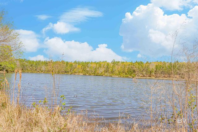48248 Chastang Lake Road, Bay Minette, AL 36507