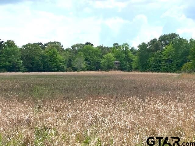 7601 CR 3700, Murchison, TX 75778