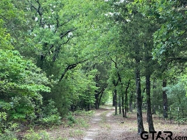 7601 CR 3700, Murchison, TX 75778