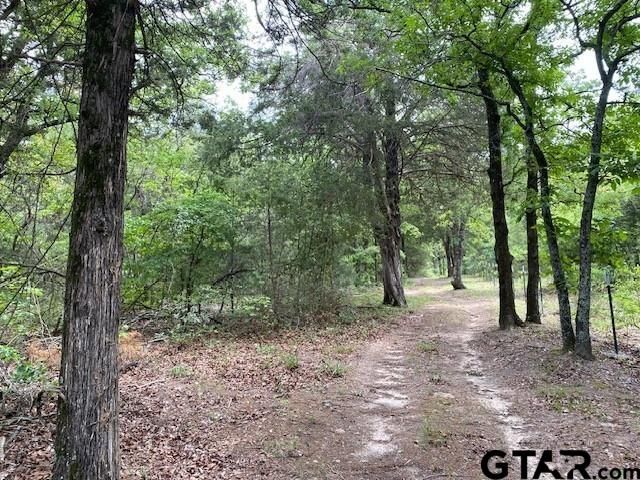 7601 CR 3700, Murchison, TX 75778