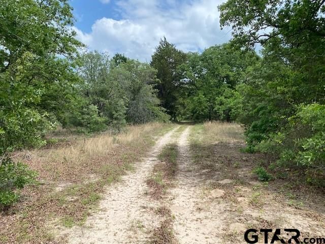 7601 CR 3700, Murchison, TX 75778