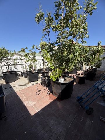 198 S Cragmont, San Jose, CA 95127