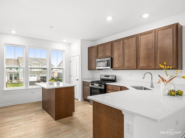 14954 S Dyer Lane, Plainfield, IL 60544