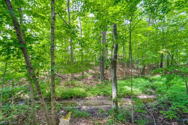 15292 Friendsville Road, Burbank, OH 44214