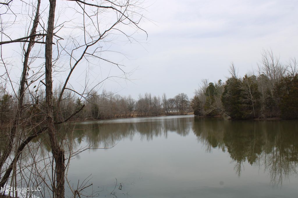 4325 Highway 301, Lake Cormorant, MS 38641 — exterior