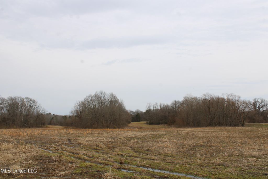 4325 Highway 301, Lake Cormorant, MS 38641 — photo 2