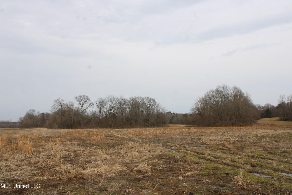 4325 Highway 301, Lake Cormorant, MS 38641 — photo 3
