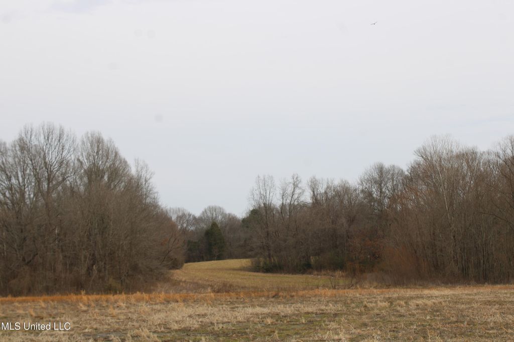 4325 Highway 301, Lake Cormorant, MS 38641 — photo 4
