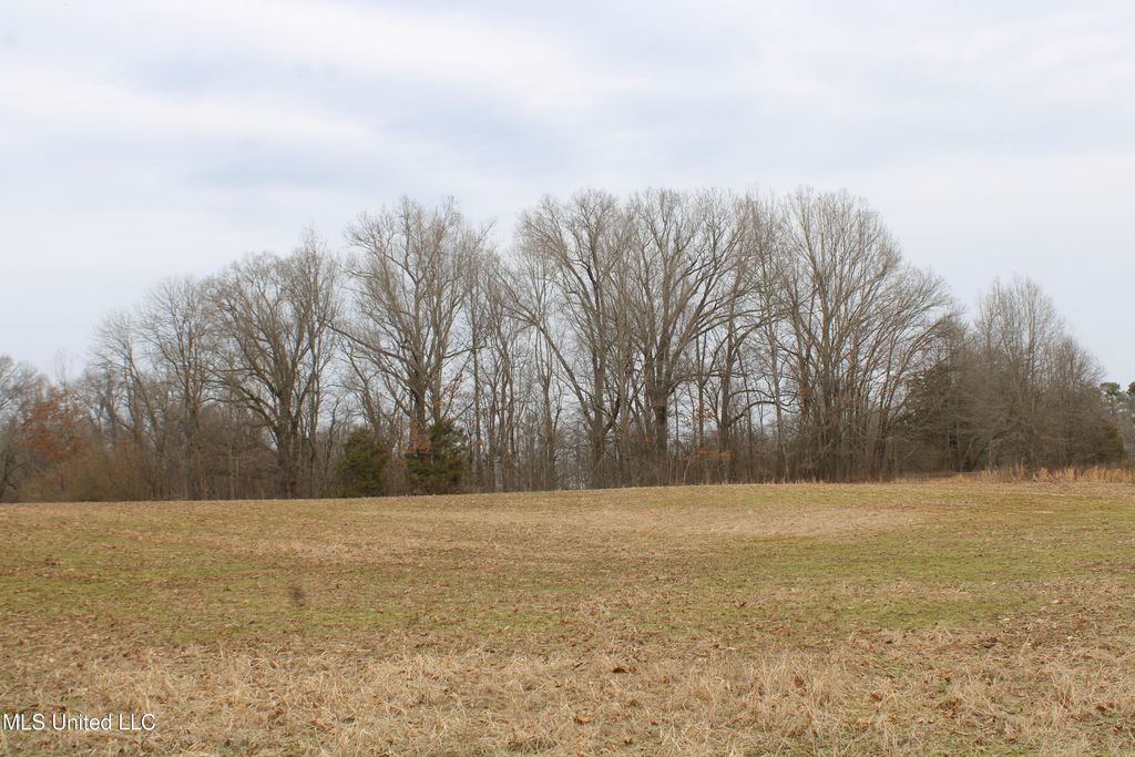 4325 Highway 301, Lake Cormorant, MS 38641 — photo 5