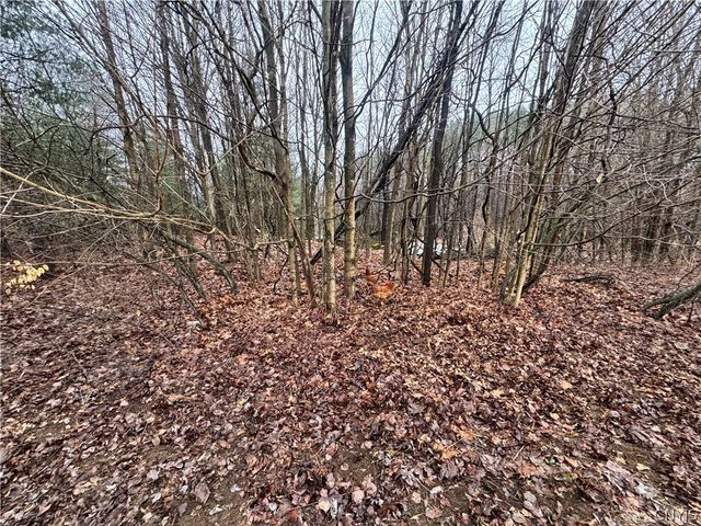 43085 County Route 41 Road, Wilna, NY 13665