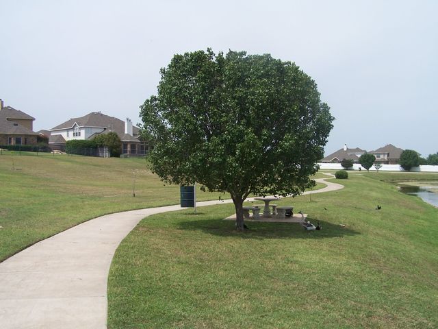 3404 Muleshoe Lane, Fort Worth, TX 76179