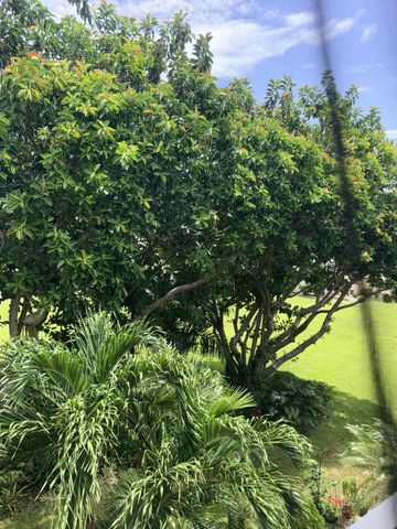 2601 NE 3RD Court 3030, Boynton Beach, FL 33435