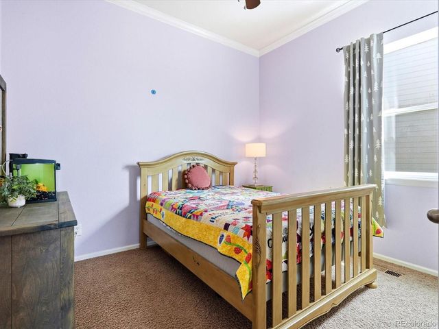 1666 Alpine Drive, Erie, CO 80516