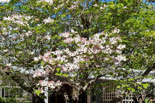 1193 Glen Dr., San Leandro, CA 94577