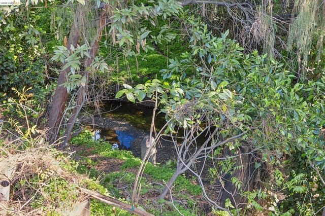 1193 Glen Dr., San Leandro, CA 94577