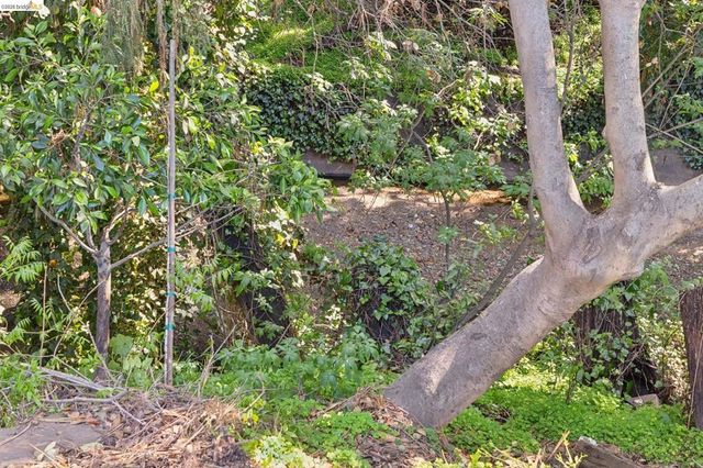 1193 Glen Dr., San Leandro, CA 94577