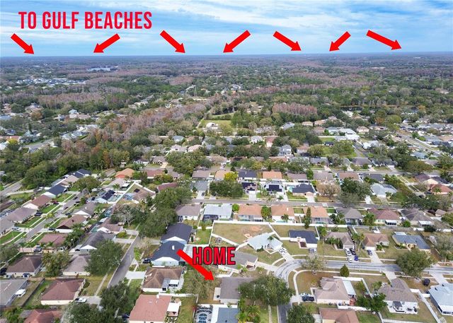 14833 REDCLIFF DRIVE, Tampa, FL 33625