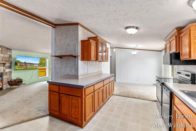 1382 Dairy Lane NE, Cedar Springs, MI 49319