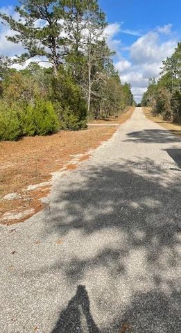 0 SE 139 COURT, Dunnellon, FL 34434