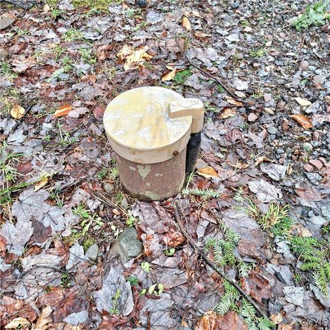 24 Wall Street, Amboy, NY 13028