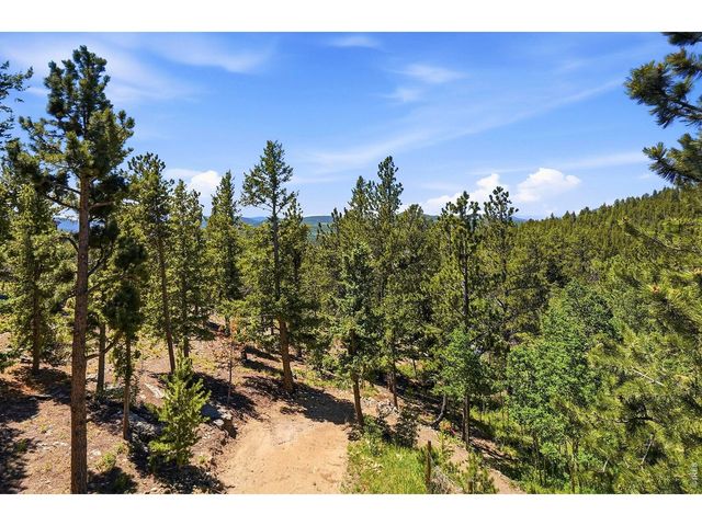 212 Elk Pl, Black Hawk, CO 80422