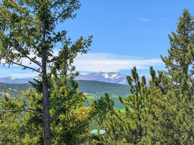 212 Elk Pl, Black Hawk, CO 80422