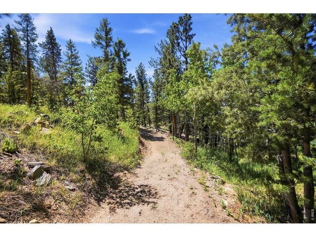 212 Elk Pl, Black Hawk, CO 80422