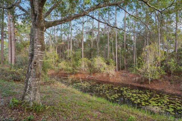 18628 SE 53RD PLACE, Ocklawaha, FL 32179