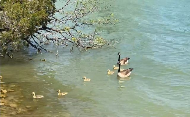 4415 Chapel Road, Graham, TX 76450