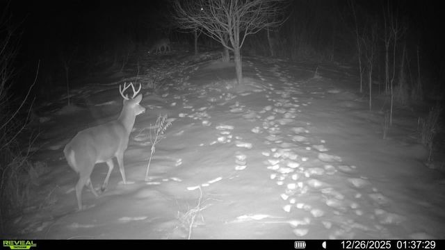 16921 Vickers Street NE, Andover, MN 55304