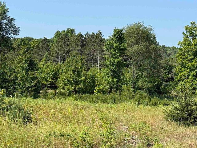 Parcel A6 S Bright Road, Maple City, MI 49664