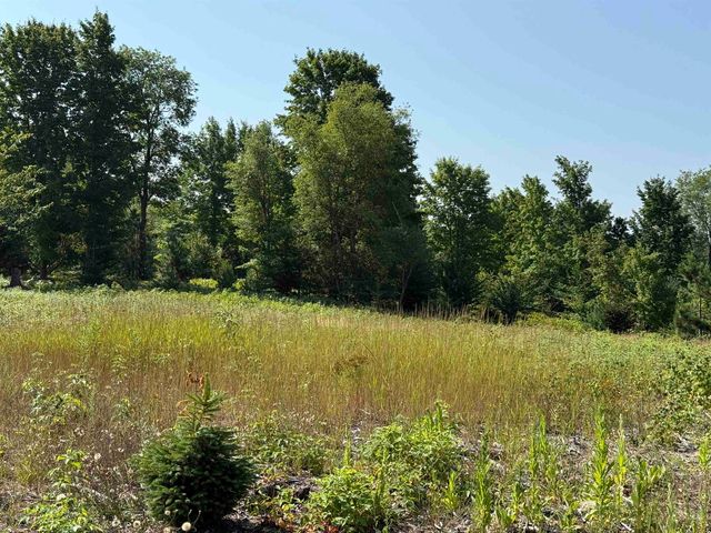 Parcel A6 S Bright Road, Maple City, MI 49664