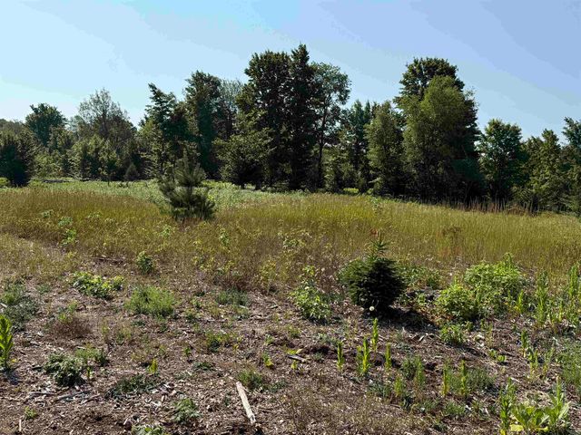 Parcel A6 S Bright Road, Maple City, MI 49664