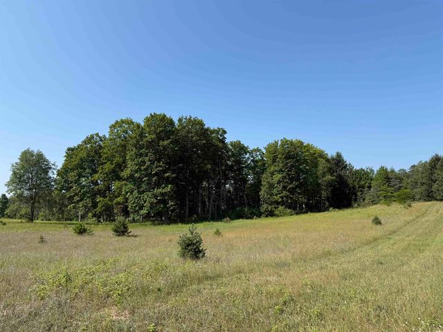 Parcel A6 S Bright Road, Maple City, MI 49664