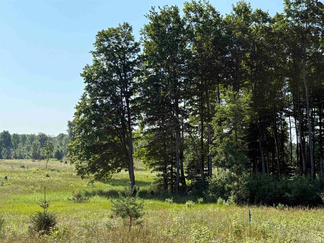 Parcel A6 S Bright Road, Maple City, MI 49664