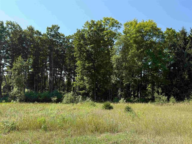 Parcel A6 S Bright Road, Maple City, MI 49664