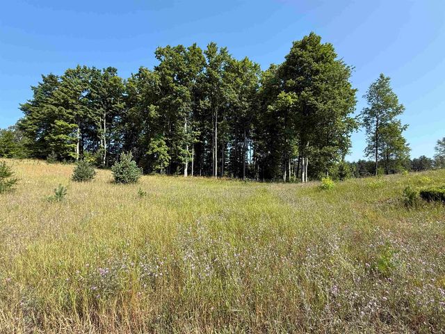 Parcel A6 S Bright Road, Maple City, MI 49664