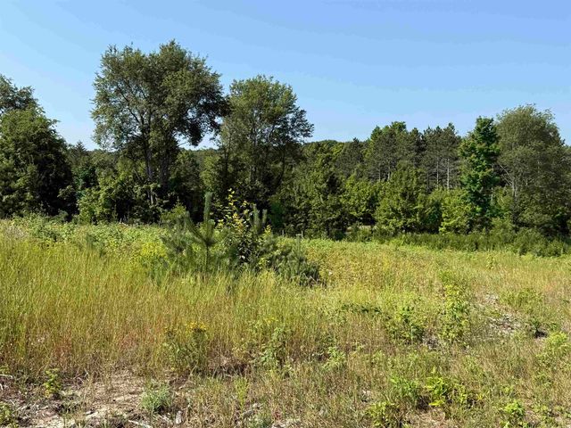 Parcel A6 S Bright Road, Maple City, MI 49664