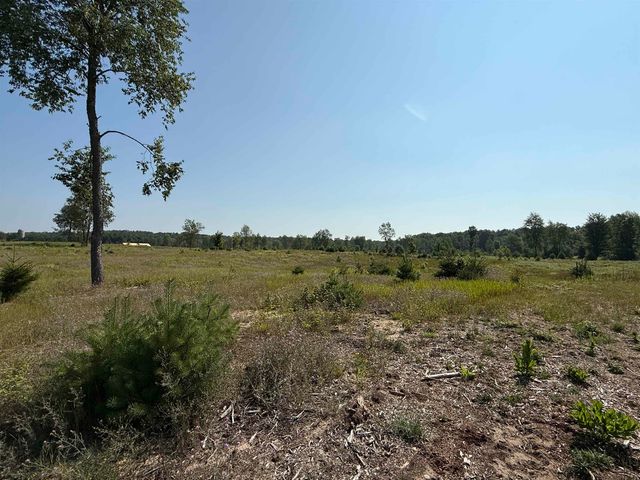 Parcel A6 S Bright Road, Maple City, MI 49664
