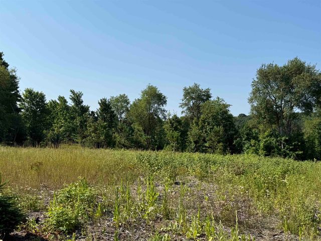 Parcel A6 S Bright Road, Maple City, MI 49664