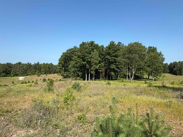 Parcel A6 S Bright Road, Maple City, MI 49664