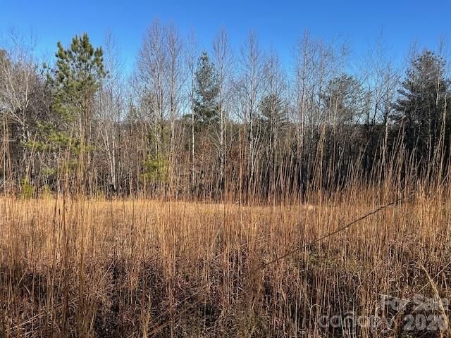 0 Hope Drive, Rutherfordton, NC 28139